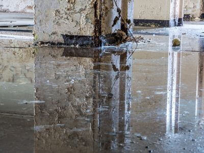 About Essential Crew - water damage restoration experts in Mobile